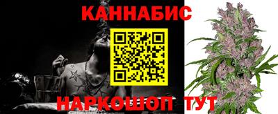 стафф Пенза