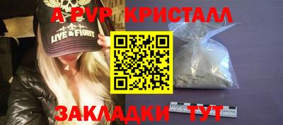 стафф Пенза