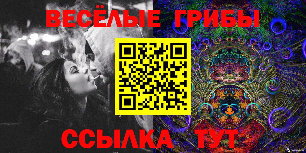 Псилоцибиновые грибы Psilocybe  где продают наркотики  Россошь  Галлюциногенные грибы Cubensis  Вход с VPN 